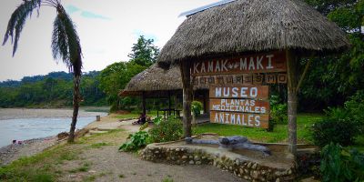 Kamak Maki